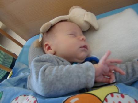 Bild zu