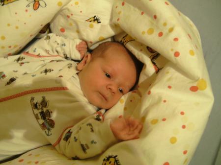 Bild zu