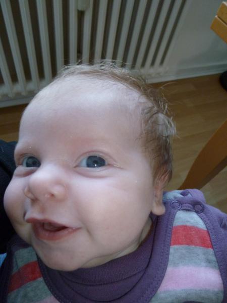 Bild zu 