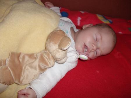 Bild zu 