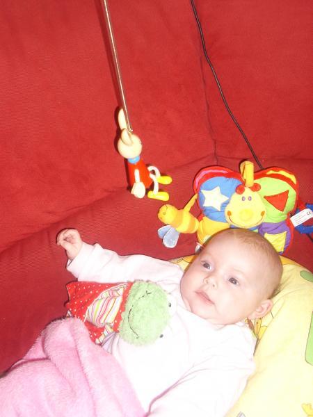 Bild zu