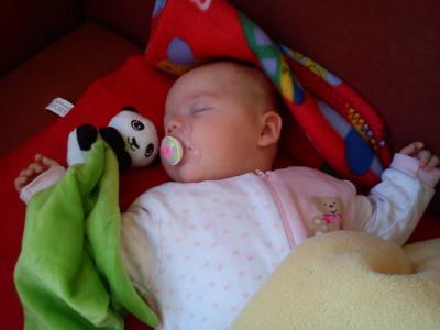 Bild zu ein neuer bester freund... - Forum für Februar - Mamis