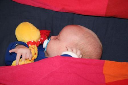 Bild zu 