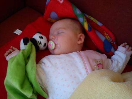 Bild zu 