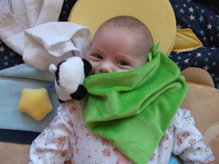 Bild zu