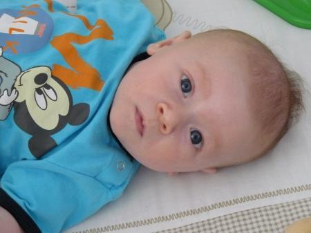Bild zu