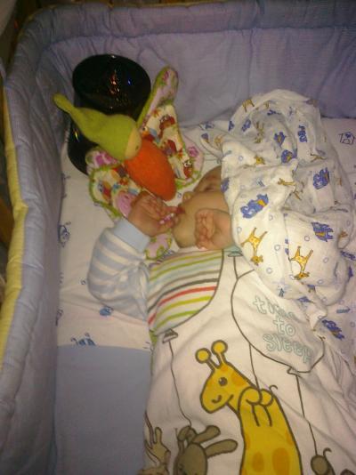 Bild zu Drückt und die Daumen! Und; Mausi schläft heute das erste Mal in ihrem Bett... - Forum für Februar - Mamis