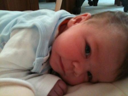 Bild zu