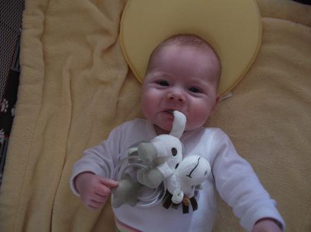 Bild zu 