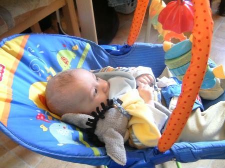 Bild zu