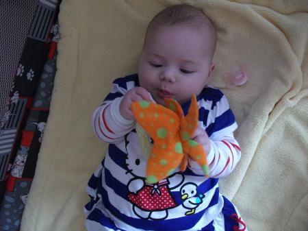 Bild zu