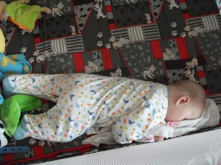 Bild zu 