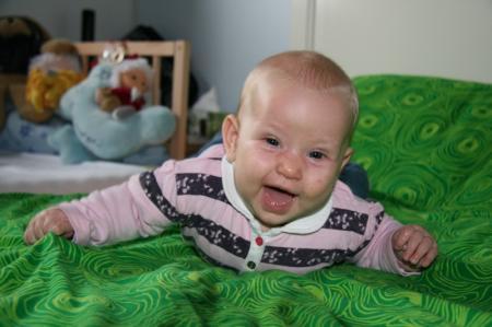 Bild zu 