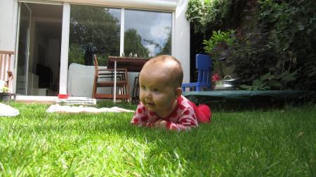 Bild zu 