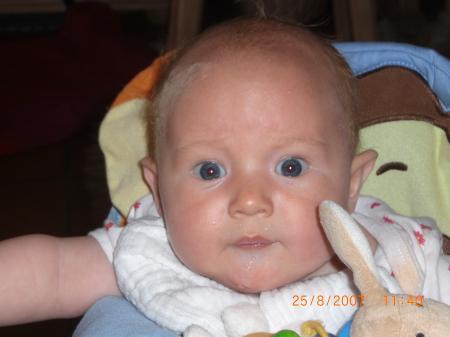 Bild zu 