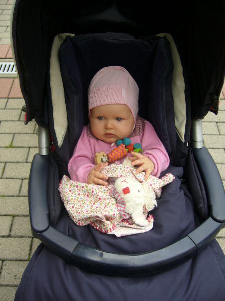 Bild zu 