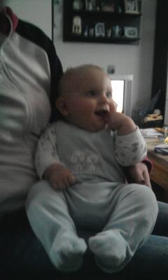 Bild zu 
