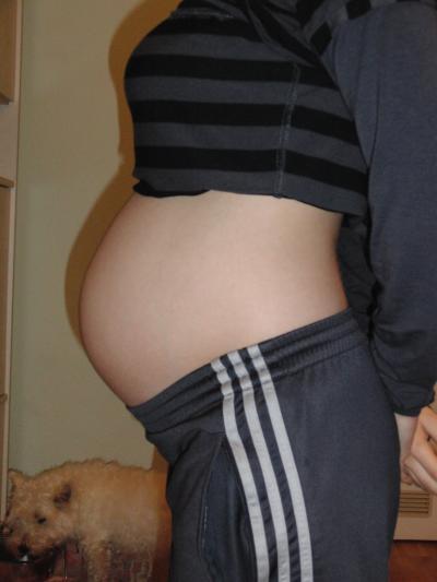 Bild zu Bauchbildrunde - Forum für Februar - Mamis