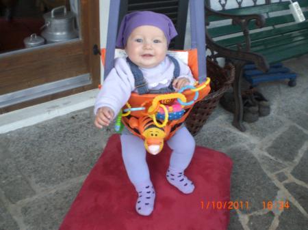 Bild zu