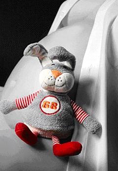 Bild zu Versuche mal Foto vom Bauchfotomann einzustellen.... - Forum für Februar - Mamis