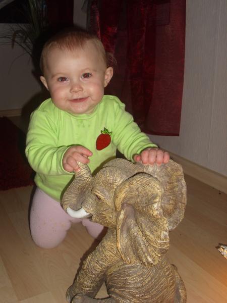 Bild zu