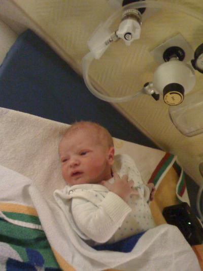 Bild zu Februar - ein schöner Monat :-) - Forum für Februar - Mamis