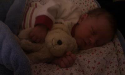 Bild zu Foto - Forum für Februar - Mamis