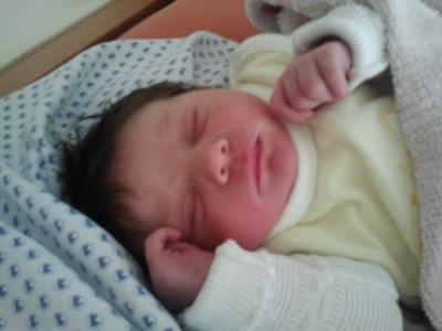 Bild zu Fauchi darf kuscheln! - Forum für Februar - Mamis