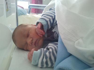 Bild zu Fotos von Aleksandar - Forum für Februar - Mamis