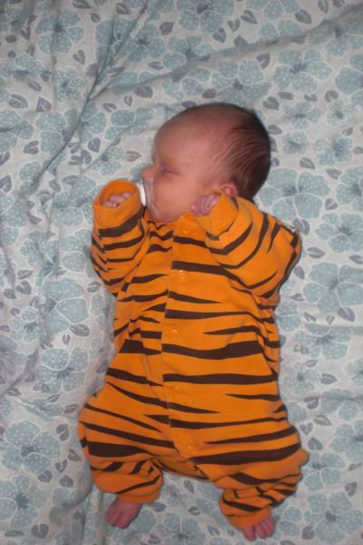 Bild zu Foto von Joshua - Forum für Februar - Mamis