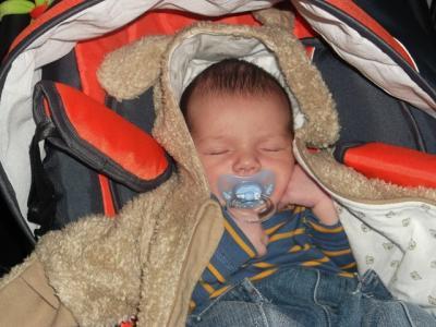 Bild zu Ein Bild von Max - Forum für Februar - Mamis