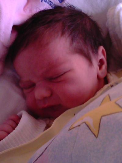 Bild zu Sarah Viola - Forum für Februar - Mamis