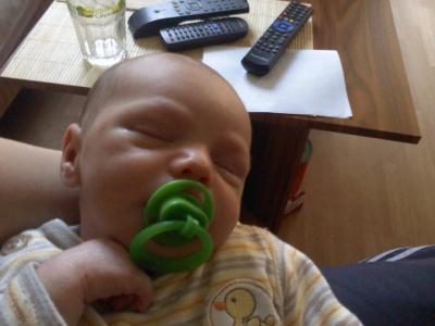 Bild zu Neues von meinem Zwerg - Forum für Februar - Mamis