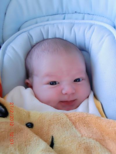 Bild zu so jetzt mal Bilder von Nico - Forum für Februar - Mamis