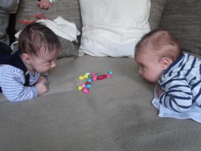 Bild zu ~~~~~~~~~~~~~~~~DER KAMPF UM DIE EIER~~~~~~~~~~~~~~~~ - Forum für Februar - Mamis