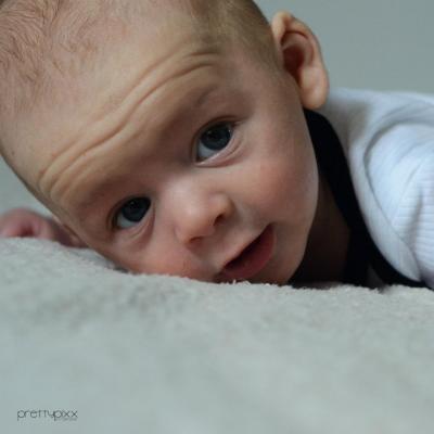 Bild zu Unser Möpschen :) - Forum für Februar - Mamis