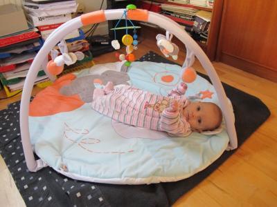 Bild zu Neue Fotos: Pamina glücklich wieder daheim! - Forum für Februar - Mamis