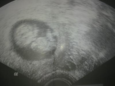 Bild zu Muttertag! - Forum für Februar - Mamis