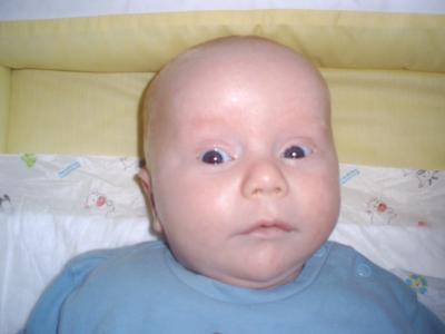 Bild zu Grade von der U4 zurück - Forum für Februar - Mamis