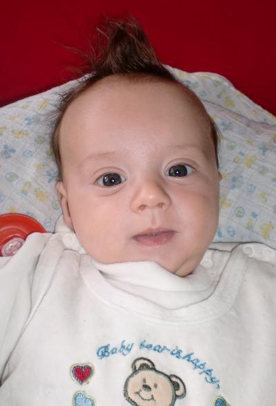 Bild zu Rüpel Richard..... - Forum für Februar - Mamis