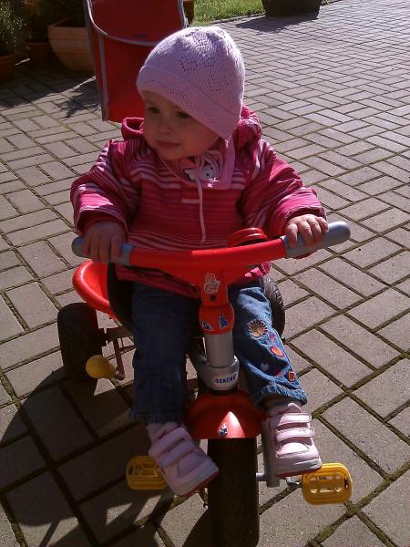 Bild zu 