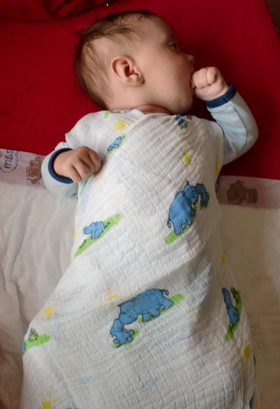 Bild zu Ich habe ... - Forum für Februar - Mamis