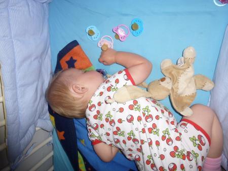 Bild zu