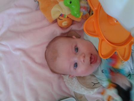 Bild zu 