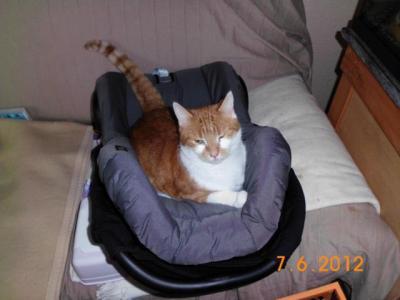 Bild zu Ich dachte ich guck nicht richtig - Forum für Februar - Mamis