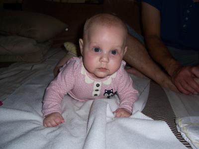 Bild zu Möhrenbrei! Bio oder nicht Bio? - Forum für Februar - Mamis