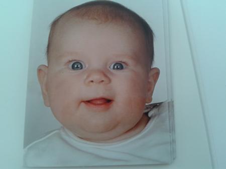 Bild zu