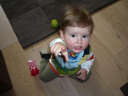 Bild zu 