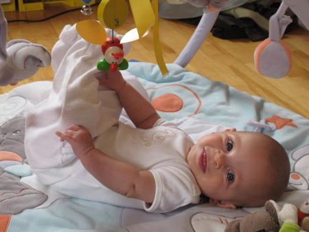 Bild zu