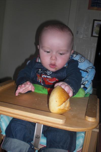 Bild zu Bilder - Forum für Februar - Mamis